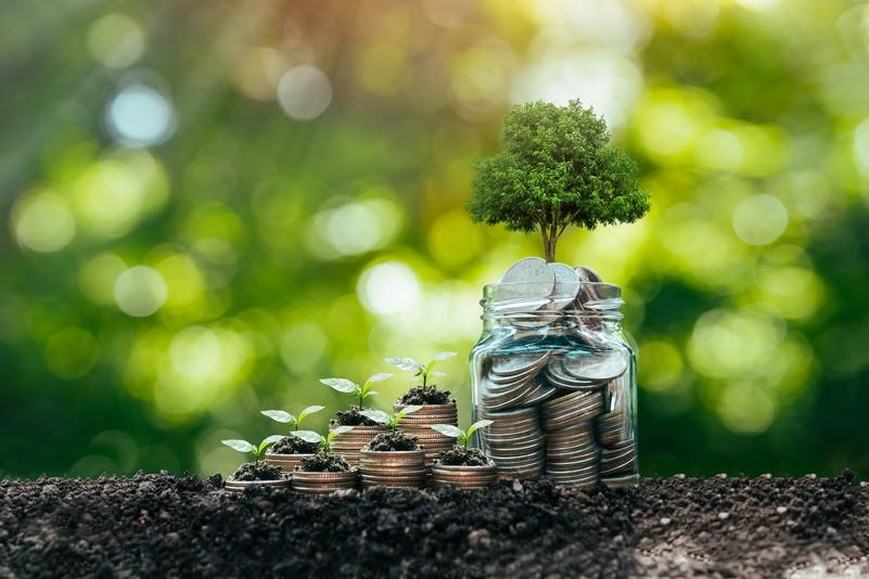 Moedas e broto crescendo, representando capital e investimento